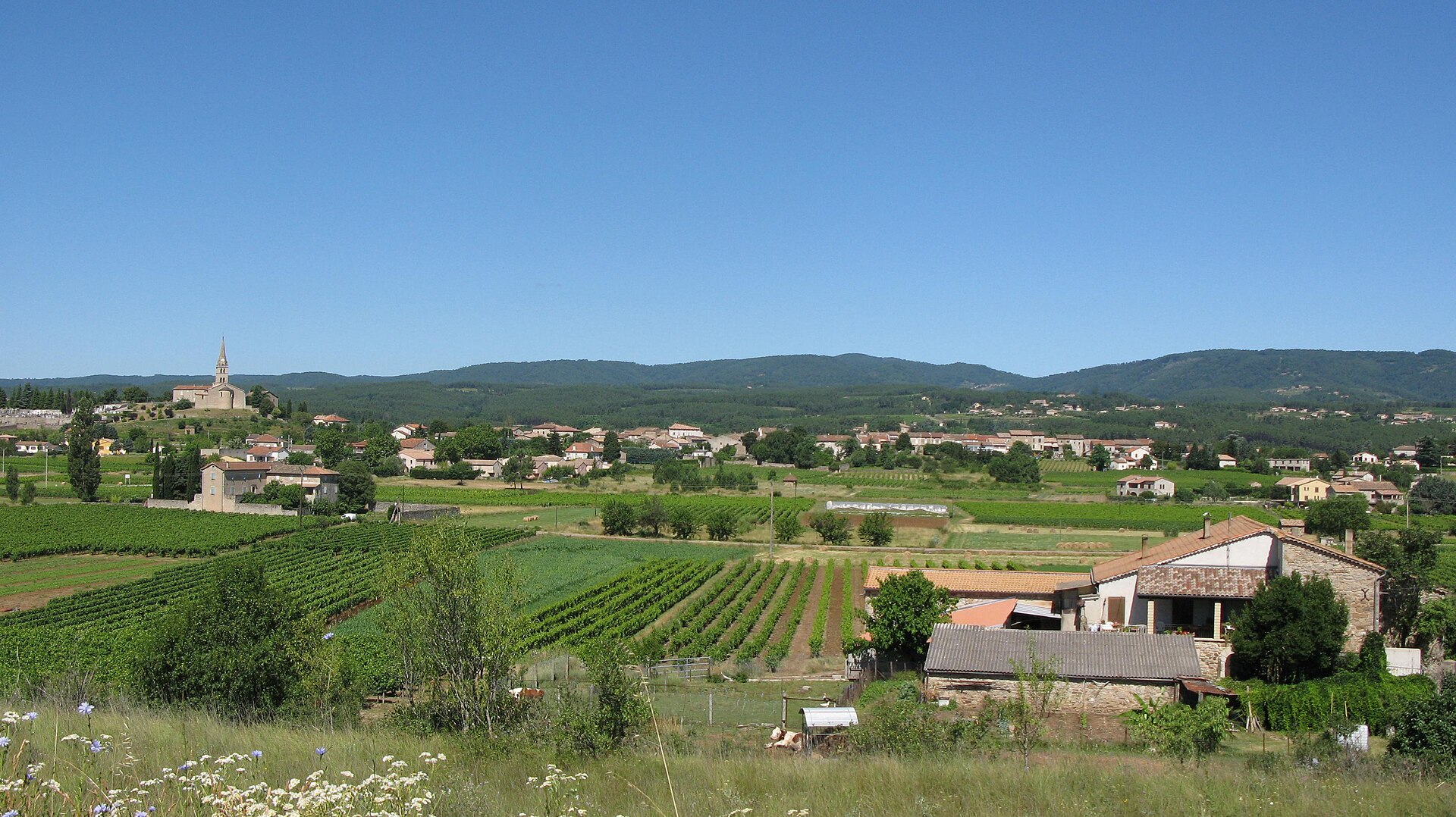 Vue g&eacute;n&eacute;rale de Lablach&egrave;re entre vignes et collines